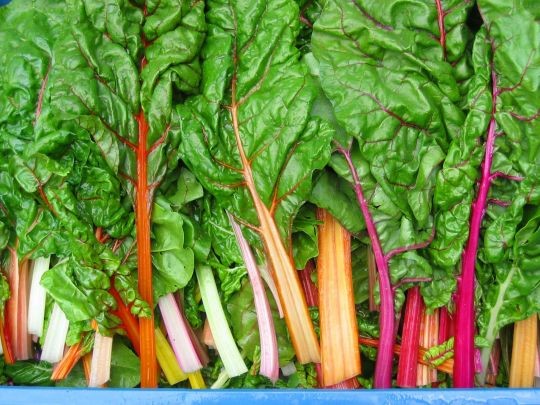 Provincie investeert in Natuurinclusieve landbouw