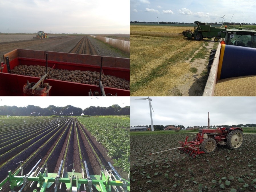 Stagiair Jochem helpt boeren met natuurinclusieve landbouw