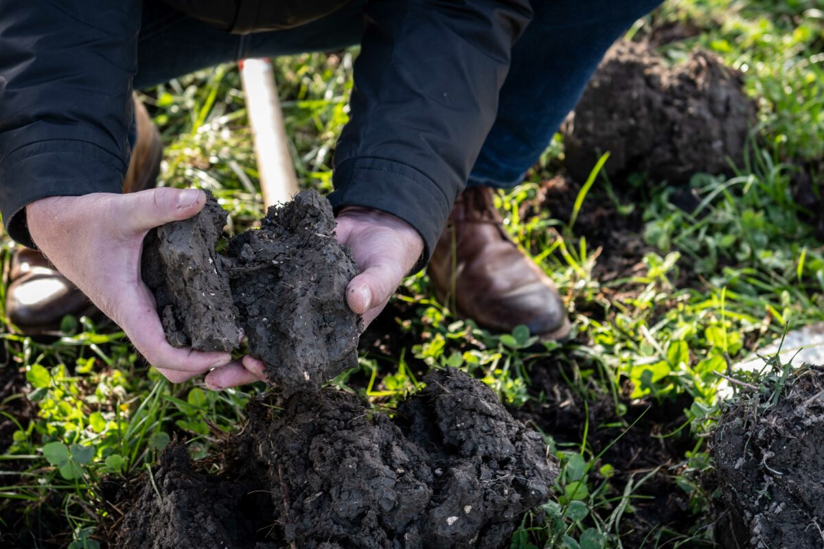 Eerste kenniscafé 'Levende bodem' een succes