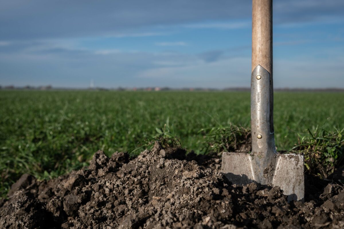 Proeftuin Agroforestry Noord-Holland gaat van start
