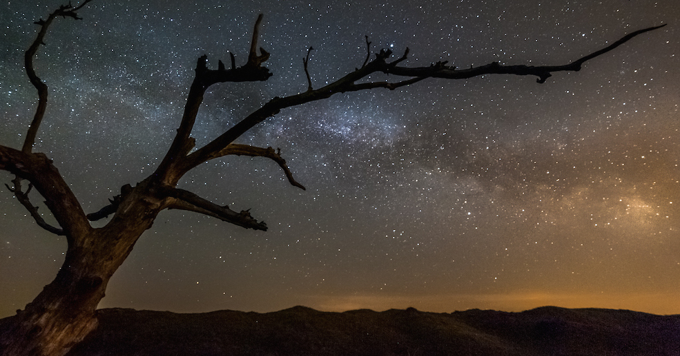 1,5 miljoen voor project ‘De Donkerte van het Waddengebied’