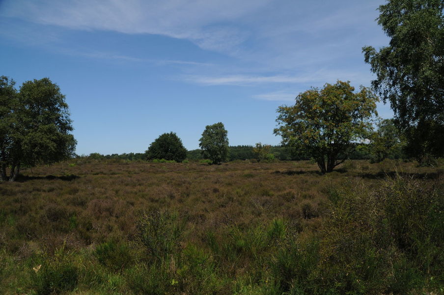 Natuur, landschap en gezondheid Gooi en Vechtstreek bedreigd door nieuwe wegen