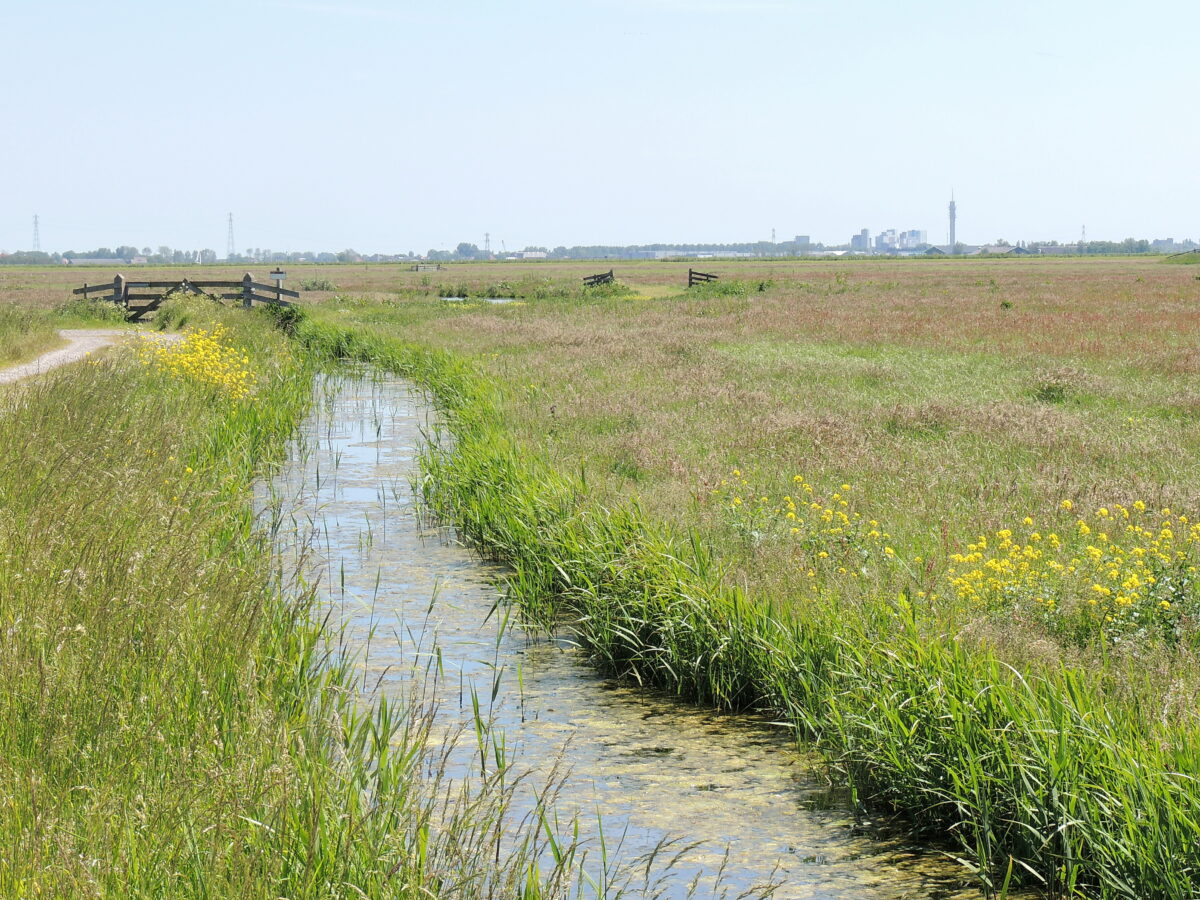Regering: boer niet achteruit, maar vooruit! Voor boer én natuur.