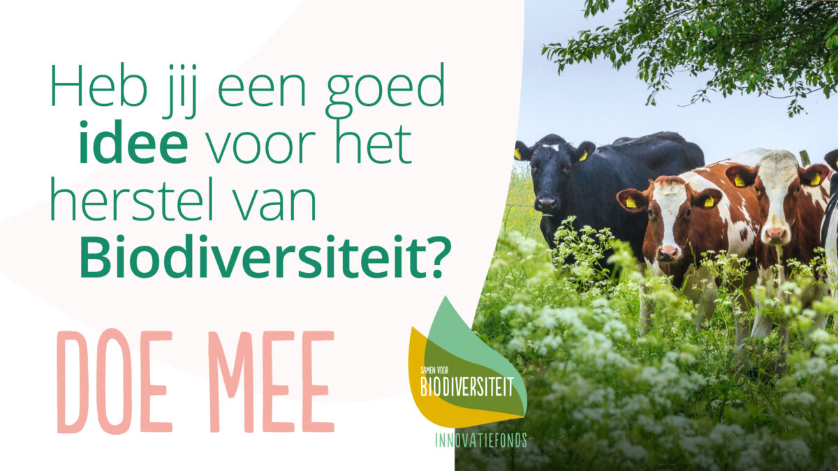 Nieuw innovatiefonds voor versterking biodiversiteit