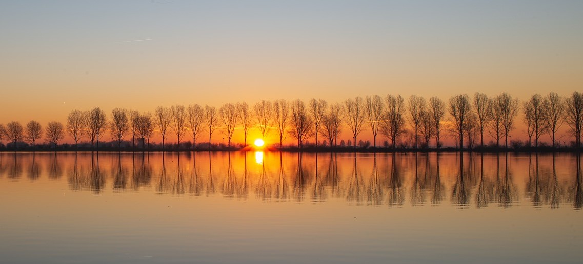 Loop de zon tegemoet tijdens het Ontwakend Landschap