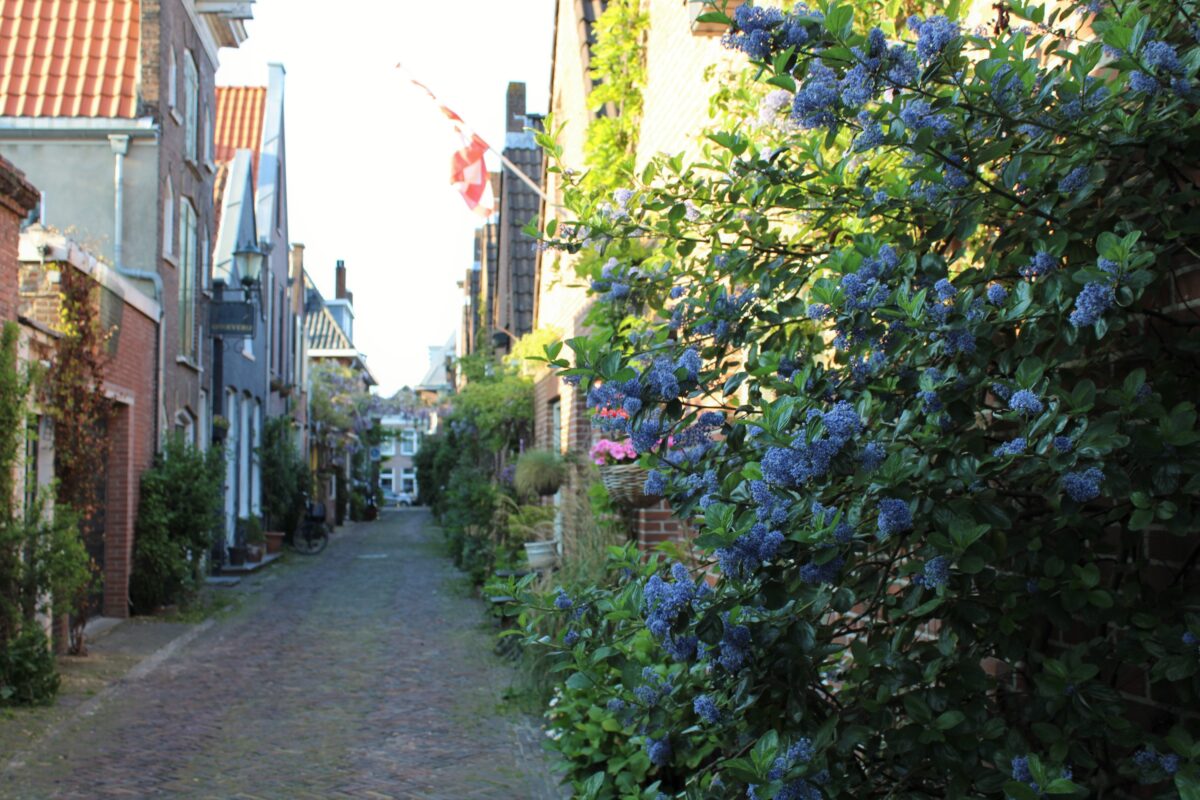 Initiatieven voor meer biodiversiteit in de bebouwde kom 