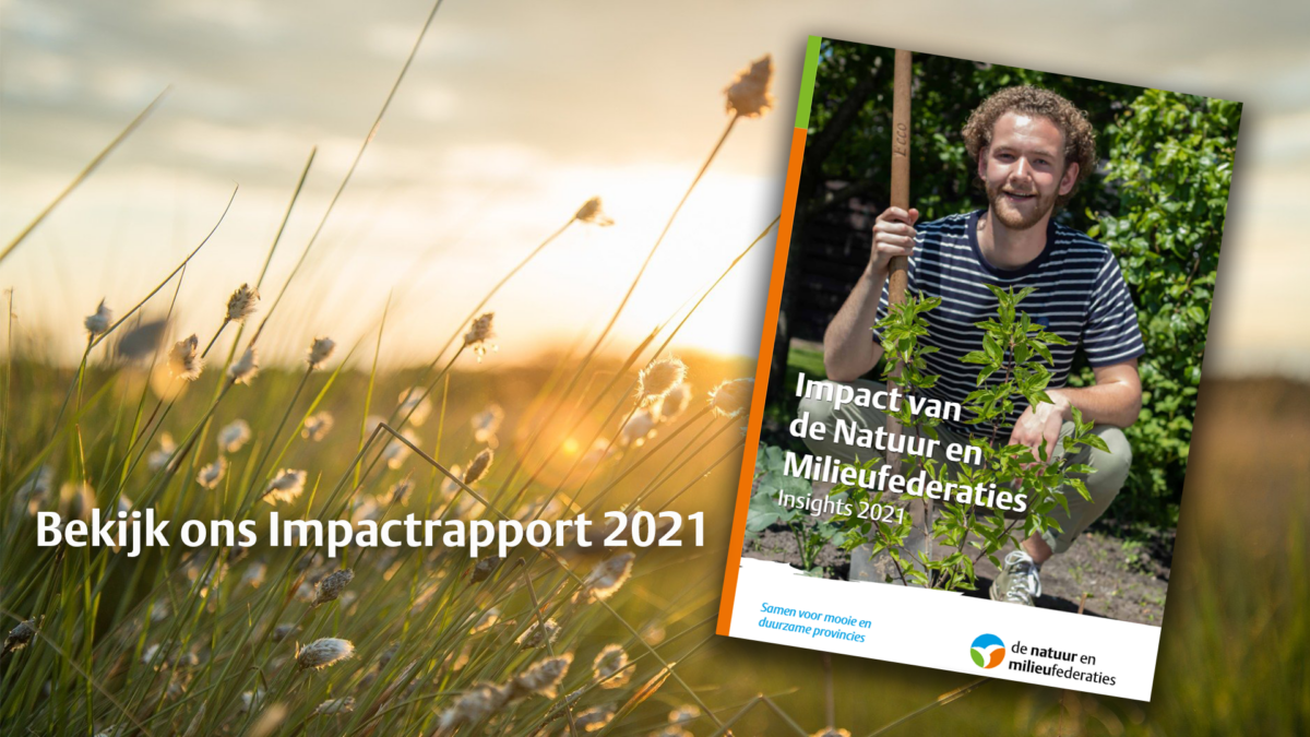 Deze impact maakten wij in 2021