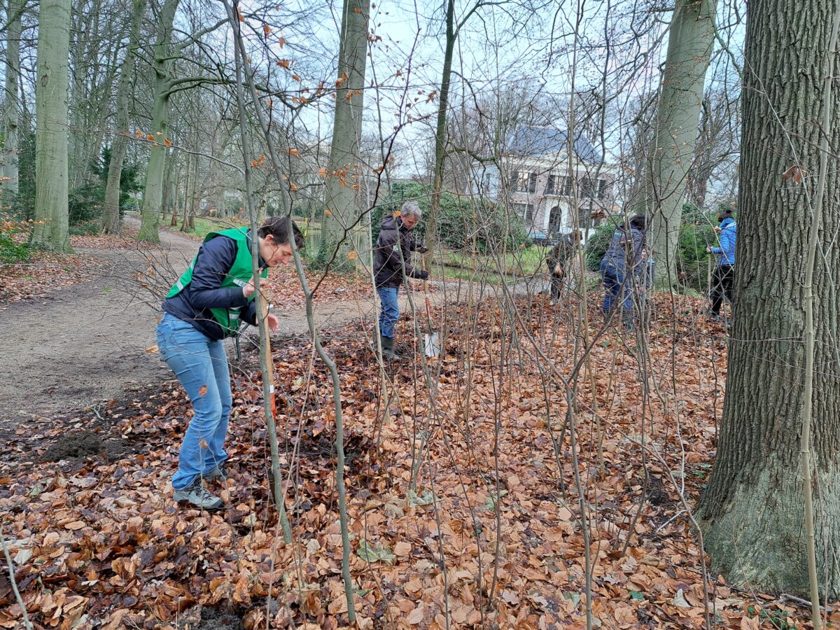 Opening eerste oogstdag groot succes