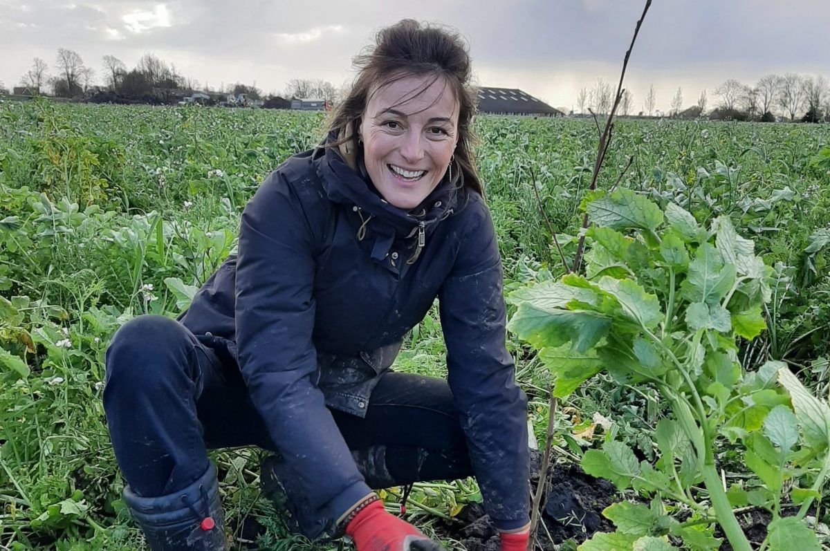 Start aanleg eerste proefperceel in agroforestry project