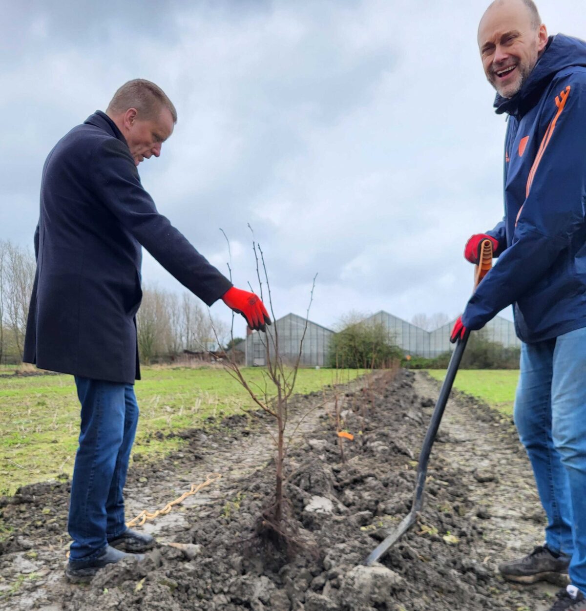 Weer een proefperceel agroforestry aangelegd!