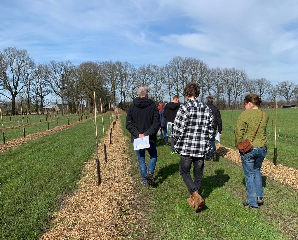 Meer boeren integreren bomen en struiken op hun bedrijf