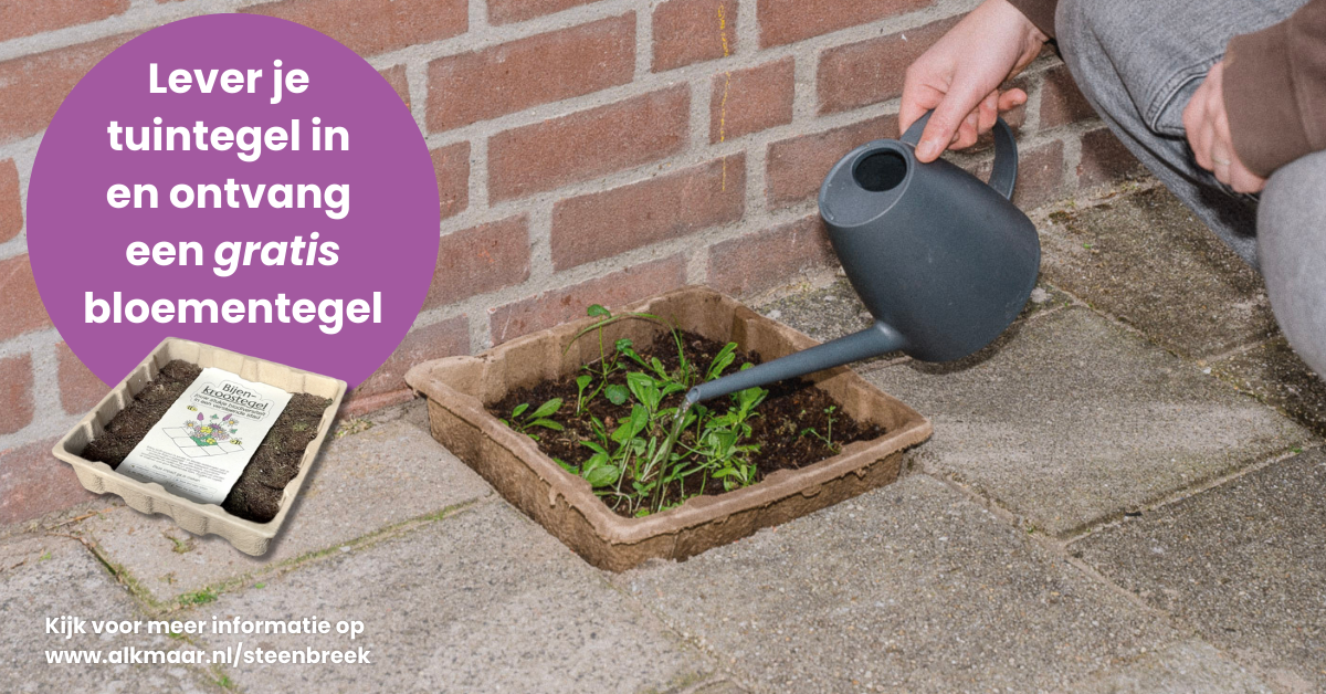 Grijze tuintegel eruit, bloemen erin!