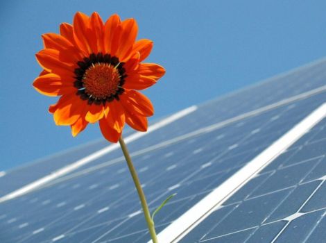 Webinar laat kansen zien voor zonne-energie op restgrond