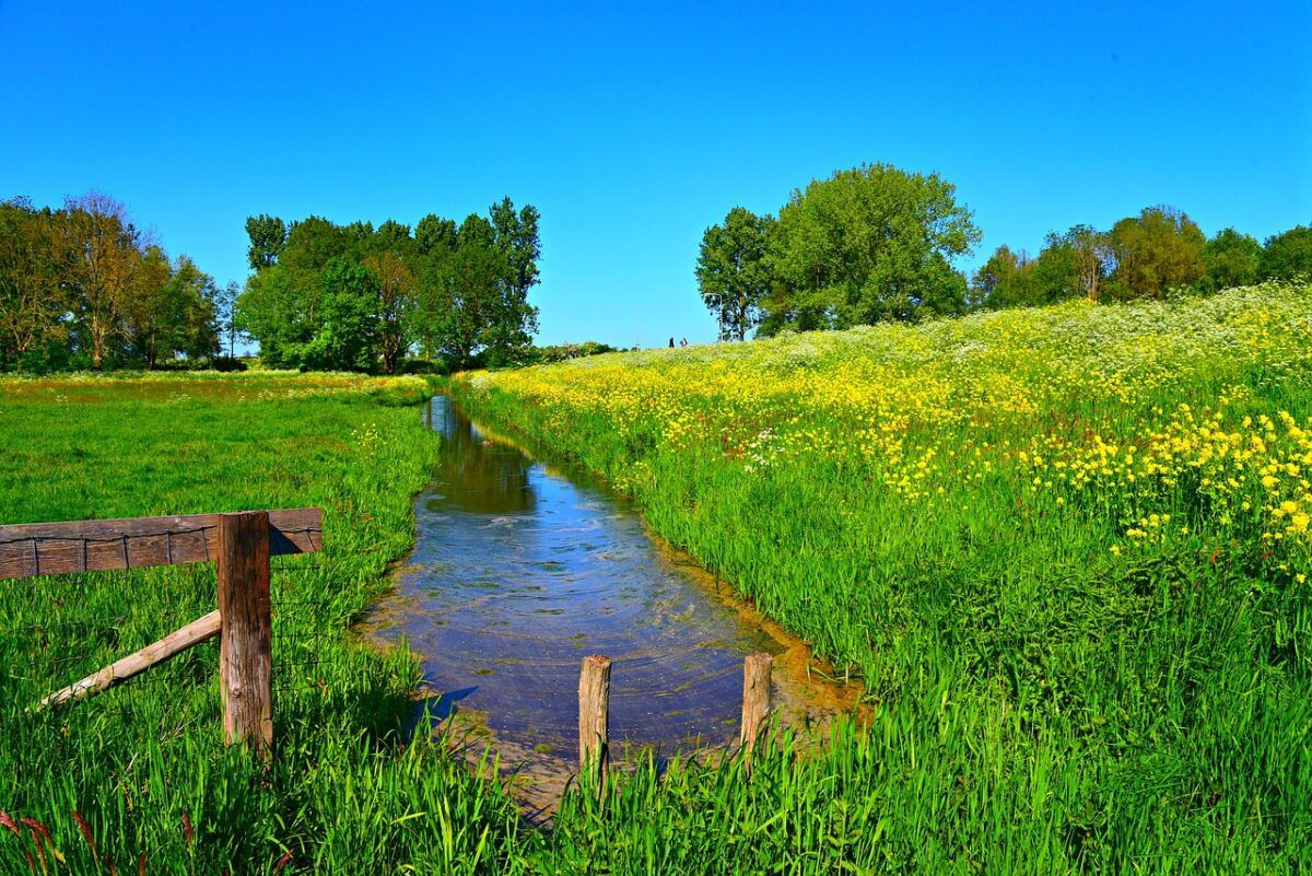 Meer nodig voor natuurherstel