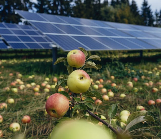 Agri-PV in Noord-Holland
