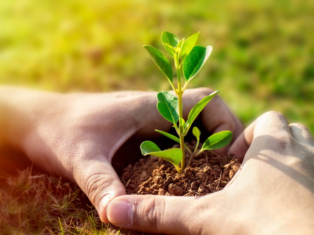De rechter trekt de grens: tijd om Nederland weer vooruit te helpen