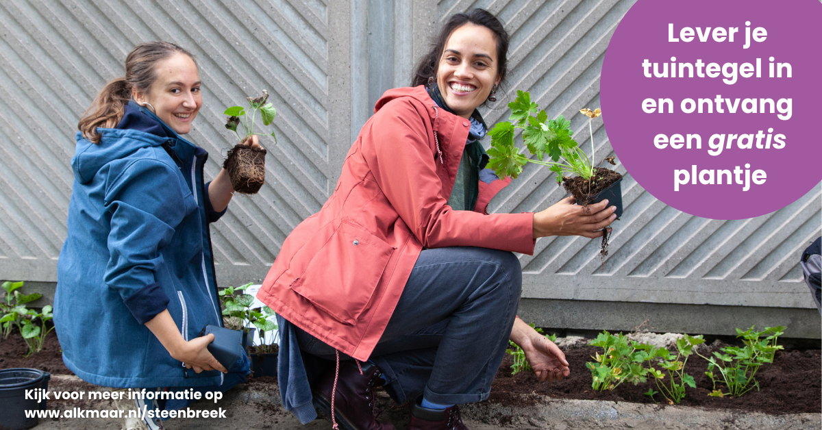 Tegels eruit, groen erin!