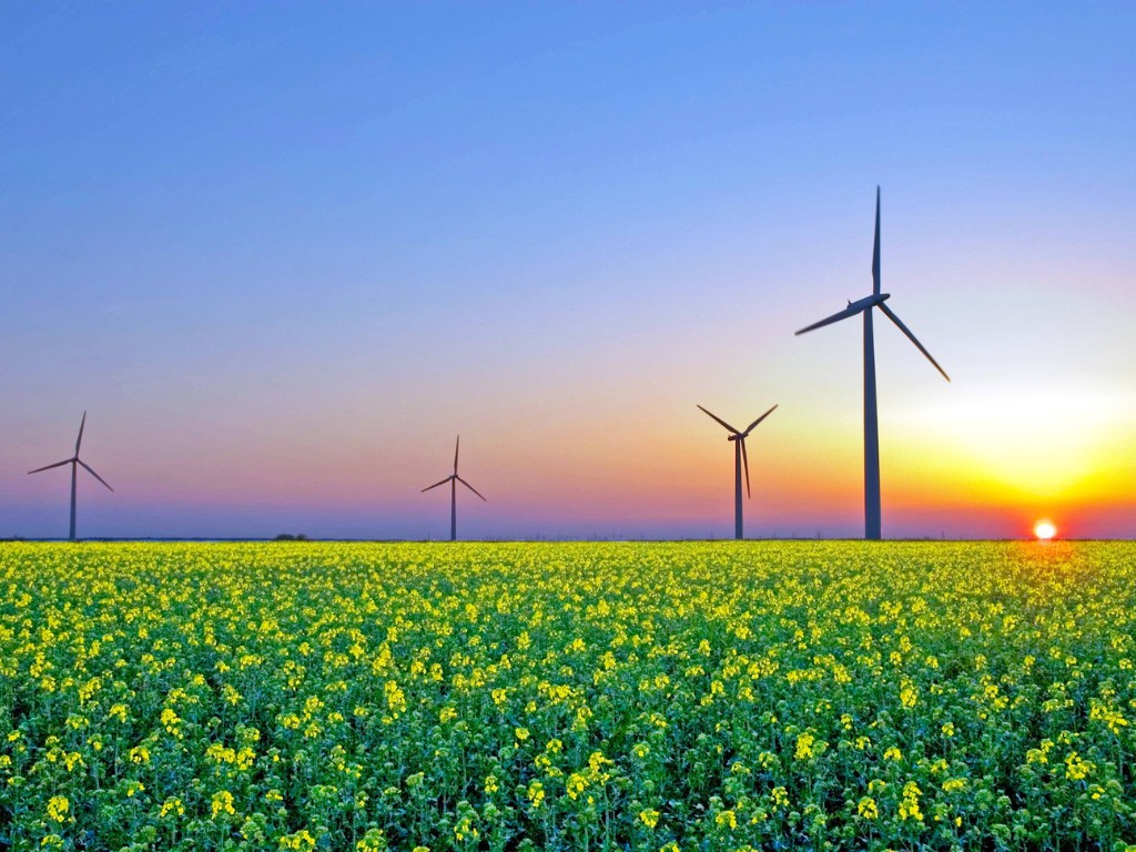 Klimaatmaatregelen kabinet: een dure misser die iedereen raakt