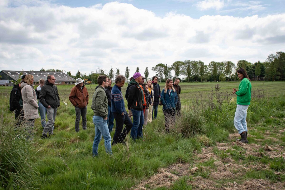 Blog: Klein beginnen om de landbouwtransitie in beweging te brengen