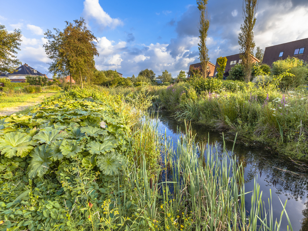 Gemeenteraadsverkiezingen 2026