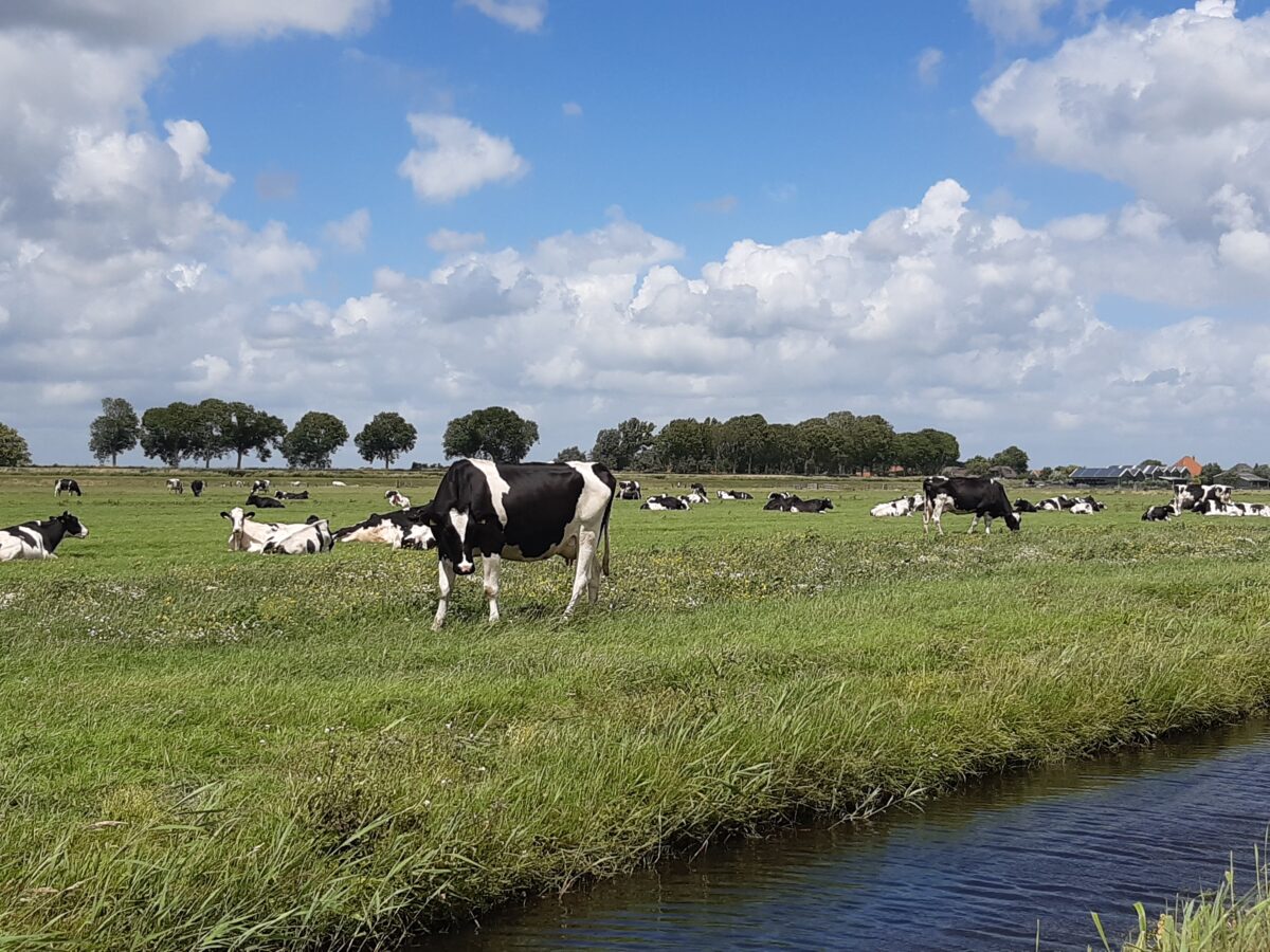 Stikstofplan stap in goede richting