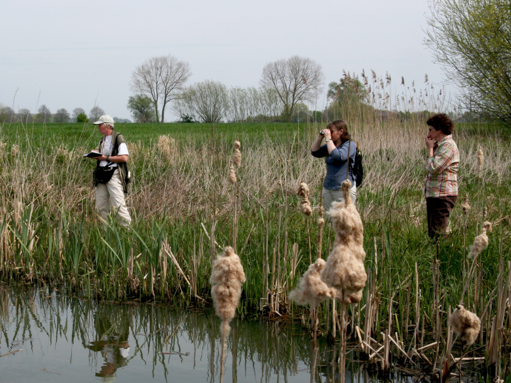 Groene Bondgenoten steunt vrijwilligers met Stimuleringsfonds