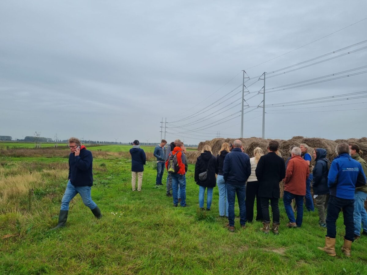 Geslaagde middagsessie over verdienmodellen in agroforestry 