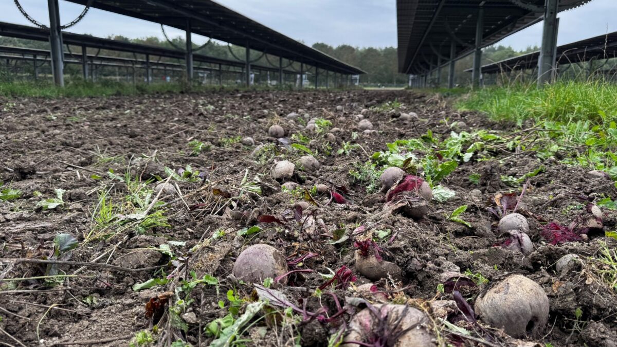 Terugblik bustour AgriPV