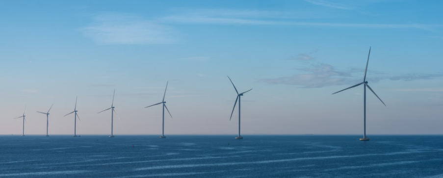 Maak van wind op zee een investering in natuur én energie